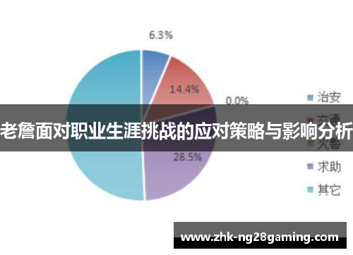 老詹面对职业生涯挑战的应对策略与影响分析